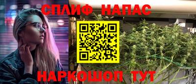 крисы Лесосибирск