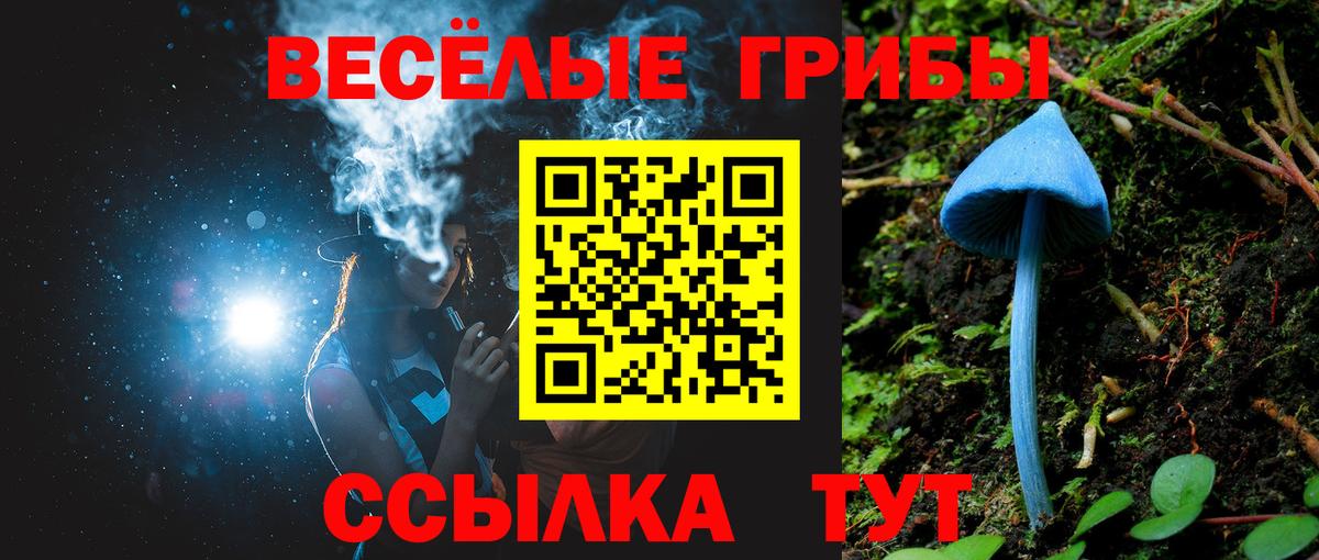 Псилоцибиновые грибы Psilocybe  Псилоцибиновые грибы Psilocybe  Дзержинский  Вход с VPN 